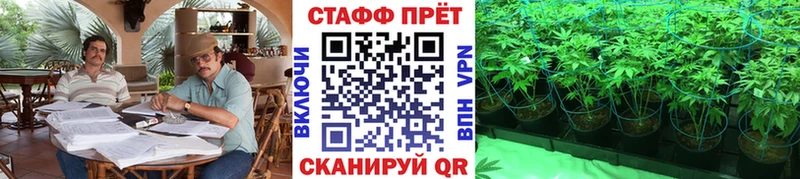 Купить наркотик аптеки Пугачёв Марихуана  Псилоцибиновые грибы  COCAIN  ГАШ  Меф  Alpha PVP 