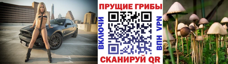 Псилоцибиновые грибы MAGIC MUSHROOMS Пугачёв